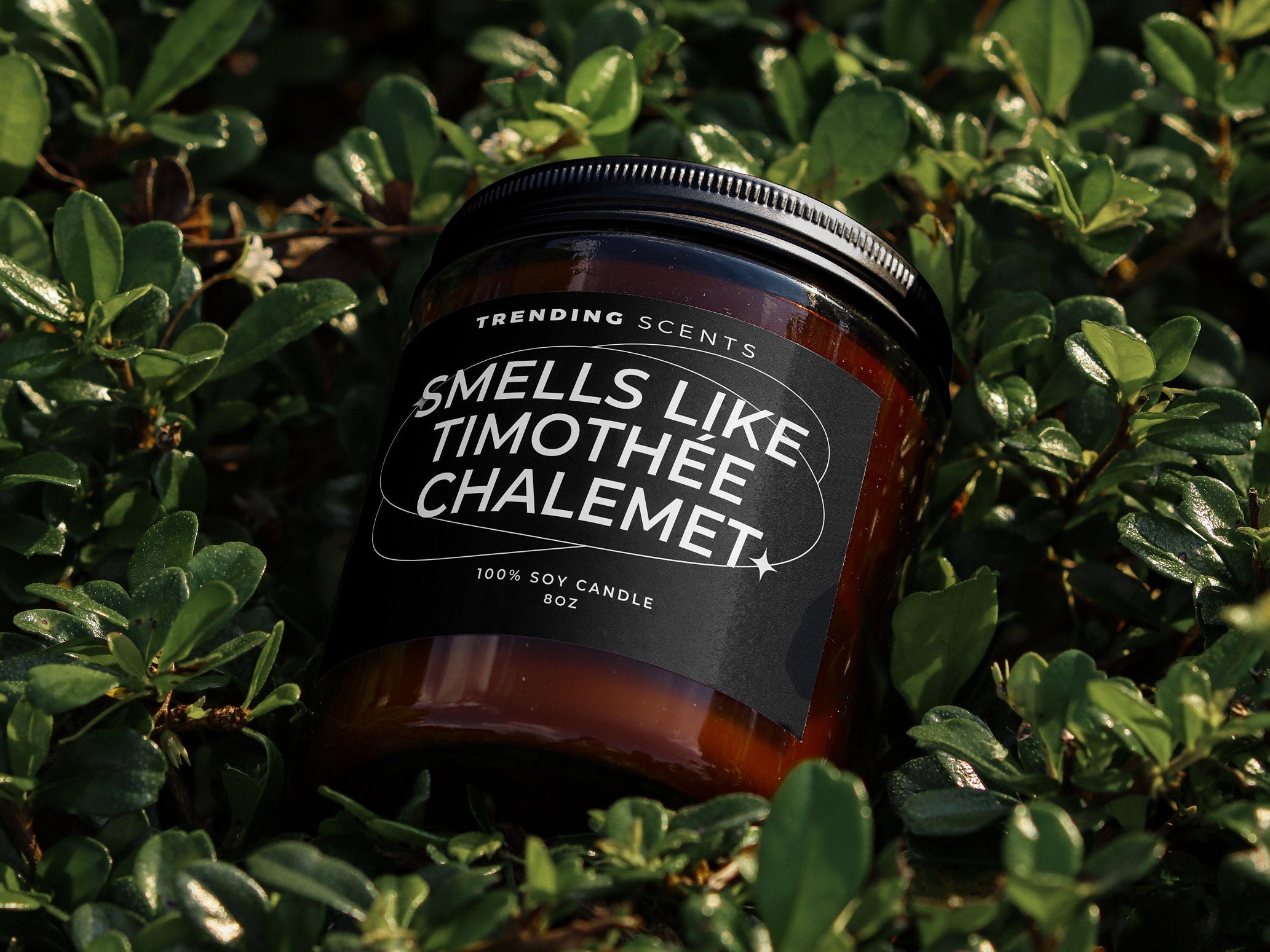 Smells Like Timothée Chalamet Candle Soy Wax Candle Gift Candle Candles