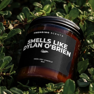 Smells Like Dylan O'Brien Celebrity Inspired Candle | Soy Wax Candle | Gift Candle | Smells Like Candle | Gift For Her | Fan Gift