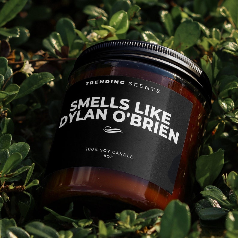 Smells Like Dylan O'brien Celebrity Inspired Candle Soy Wax Candle Gift