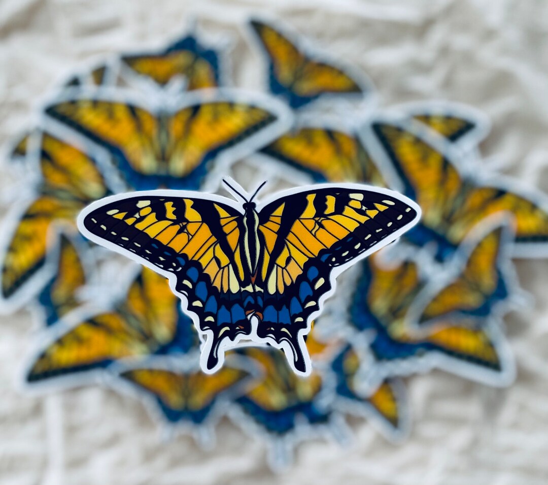 Butterfly Sticker | Hydro Flask Sticker | Laptop Sticker | Water Bottle ...