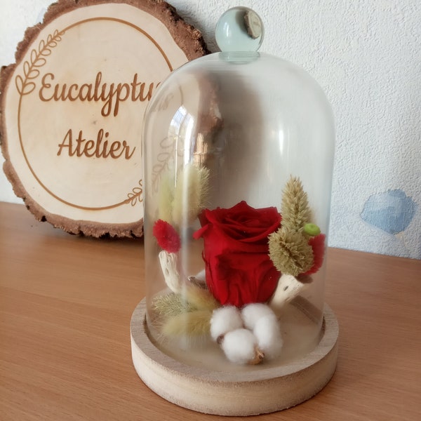 Rose stabilisée avec fleurs séchées dans une cloche en verre