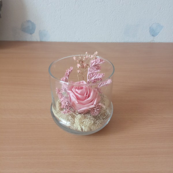 Verrine Rose stabilized pink