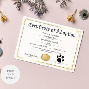 May include: A certificate of adoption with a gold border and a paw print. The text reads "This is to certify that Cause & Jack Smith has officially adopted [Pet's Name] on the day of July 3, 2023 in Denver, CO."