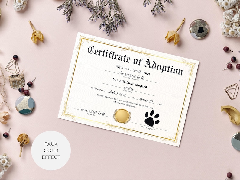 May include: A certificate of adoption with a gold border and a paw print. The text reads "This is to certify that Cause & Jack Smith has officially adopted [Pet's Name] on the day of July 3, 2023 in Denver, CO."