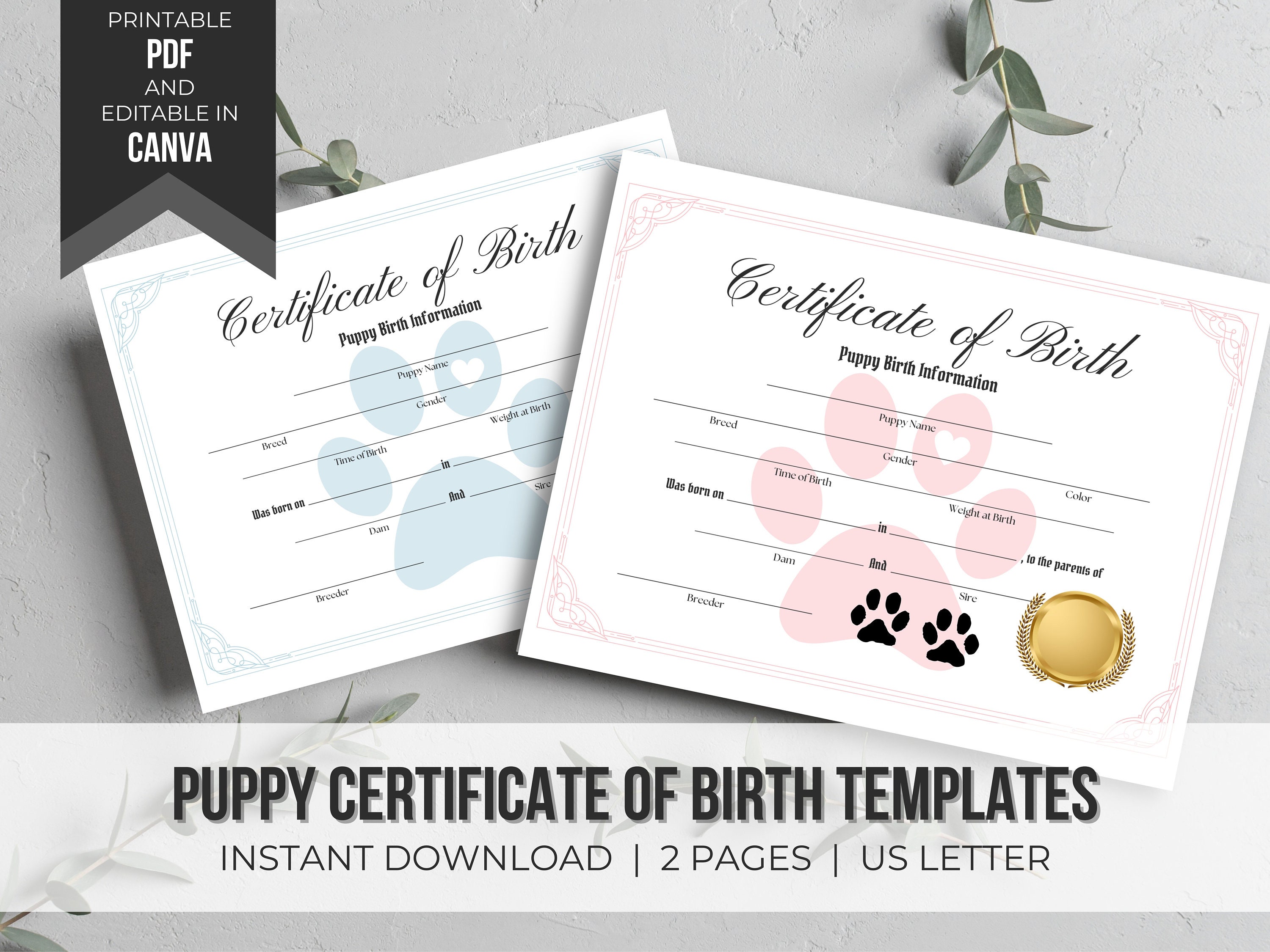 Puppy Birth Certificate Template Editable Dog Certificate Editable Puppy Birth Certificate Template Editable Dog Certificate Editable