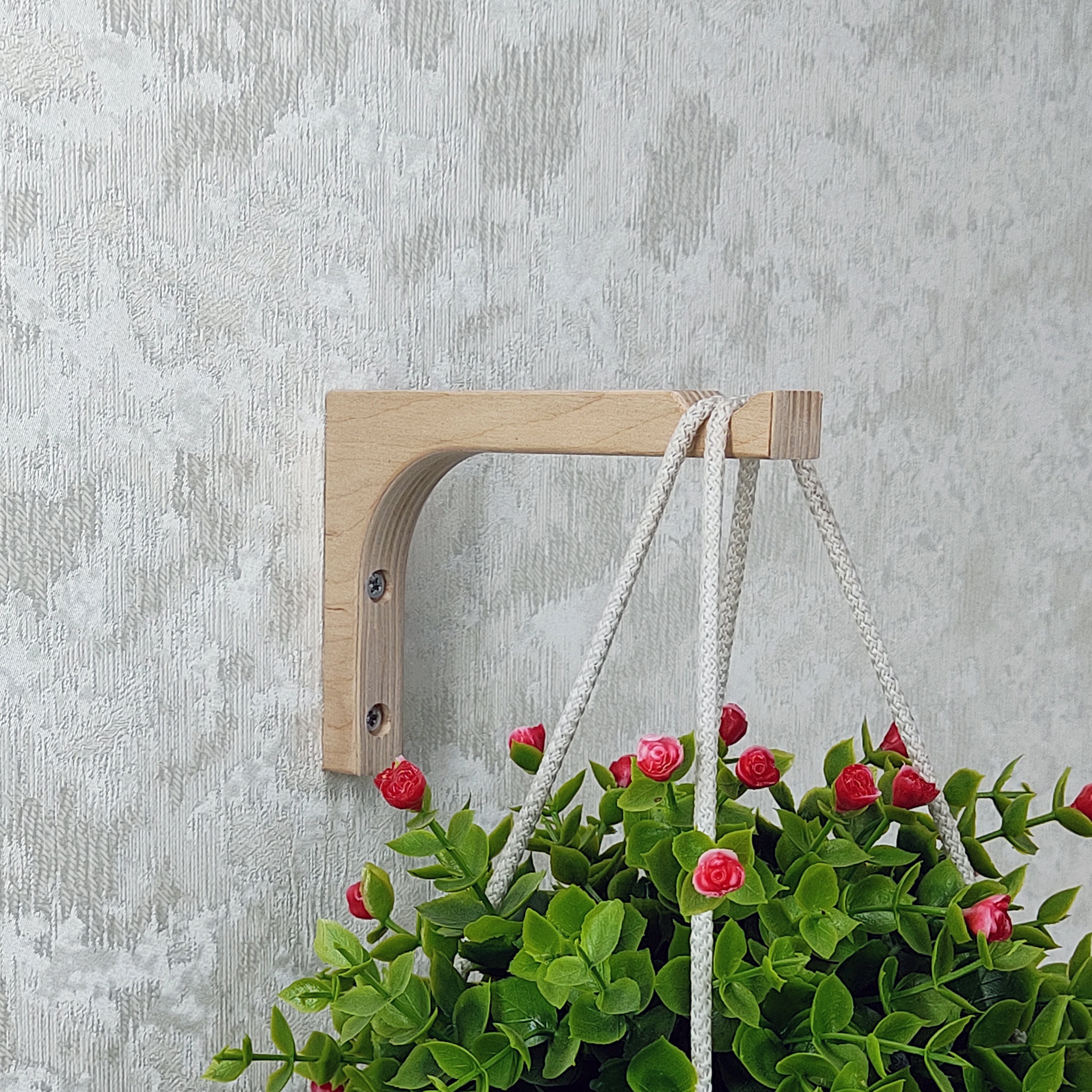 Plant Holder Bracket. Plant Hanger Hook. Hanging Plant Hook. Etsy