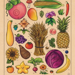 May include: A colorful illustration of 28 different summer crops from the video game Stardew Valley. The crops are arranged in a grid pattern and labeled with their names and numbers. The crops include melon, red mushroom, corn, hot pepper, tea leaves, sweet pea, hops, mango, summer spangle, ancient fruit, summer squash, grapes, tomato, wheat, peach, pineapple, fiddlehead fern, coffee bean, red cabbage, blueberry, banana, spice berry, poppy, radish, taro root, starfruit, sunflower, and orange.