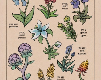 Puede incluir: Una guía ilustrada de la flora de Hyrule, que presenta nueve flores diferentes con sus nombres y descripciones. Las flores están dibujadas en un estilo caprichoso con colores vibrantes y detalles intrincados.