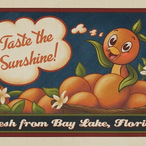 Florida Orange Bird  - Theme Parks Inspired Art Print