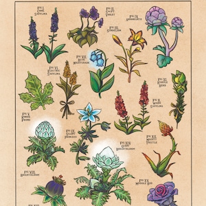 Flora of Hyrule - Videospiel inspiriert Kunstdruck