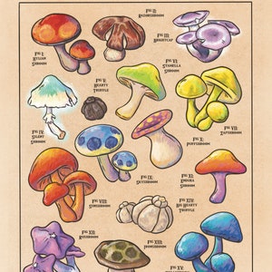 Mushrooms of Hyrule - Videospiel inspiriert Kunstdruck