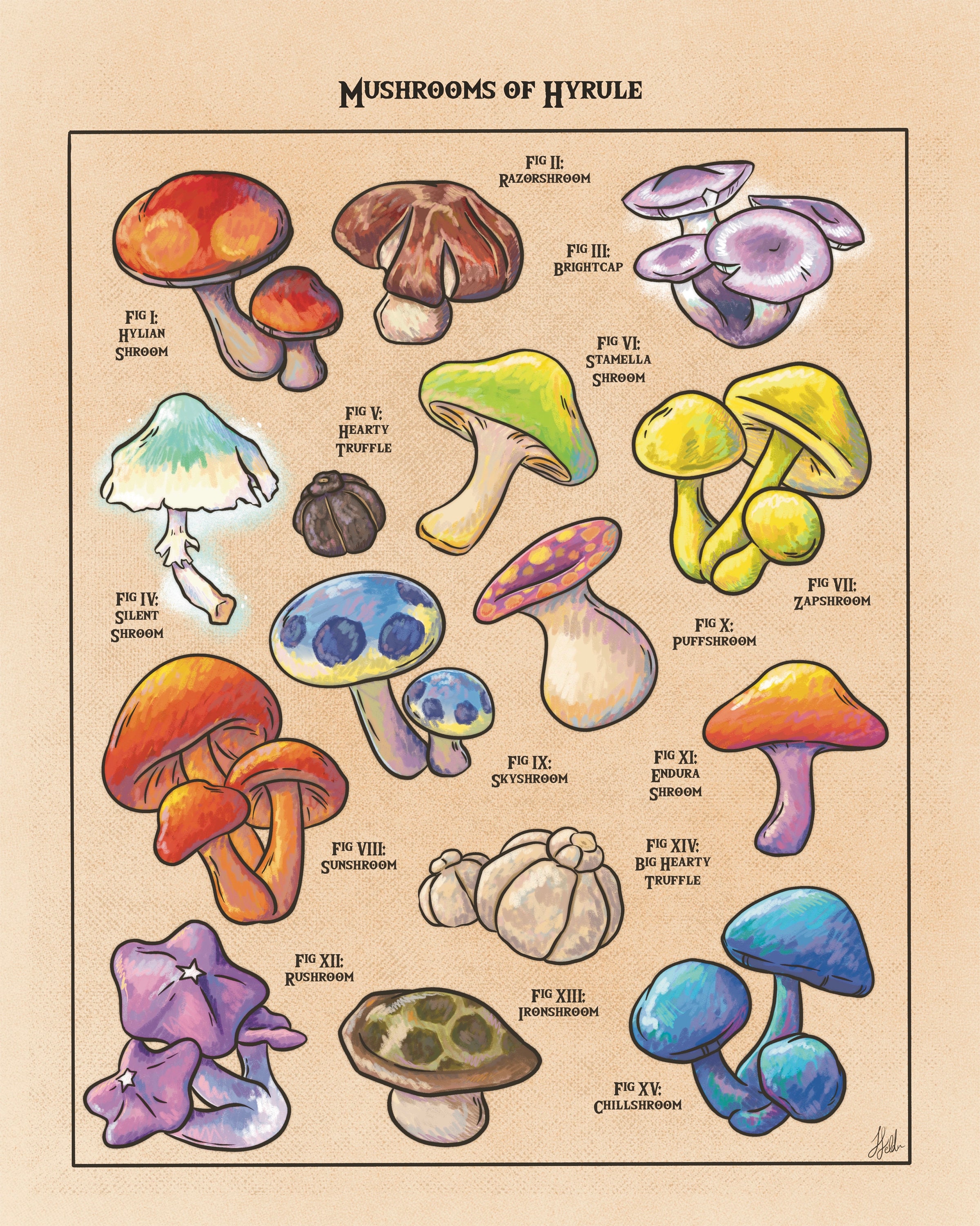 Mushrooms of Hyrule - Video Game Inspired Art Print - Etsy