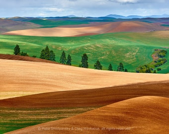 Palouse Hills Spring Splendor, Eastern Washington Photography, Agricultural Beauty, Rolling Hills Farmland Panoramic View, Wall Art Canvas
