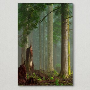 Oregon Nature Forest Photography, Pacific Northwest Moody Landscape, Evergreen Trees in the Foggy Woods, Fog Photo Fine Art Print
