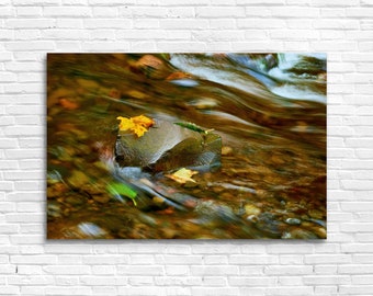 Oregon Forest Fall Scene with Stream, Autumn Nature Photography, Vibrant Maple Leaf on the Rocks, Wall Art Canvas, Metal Photo Print