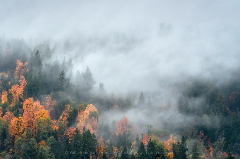 Oregon Mountains Morning Fog, Pacific Northwest Wall Art, Autumn Forest ...