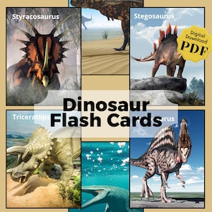 Flashcards de dinossauros | Materiais montessorianos | Jogo de cartas de dinossauro | Dinossauros de cartas de jogar | Cartões Dino feitos à mão | Presentes dinossauros