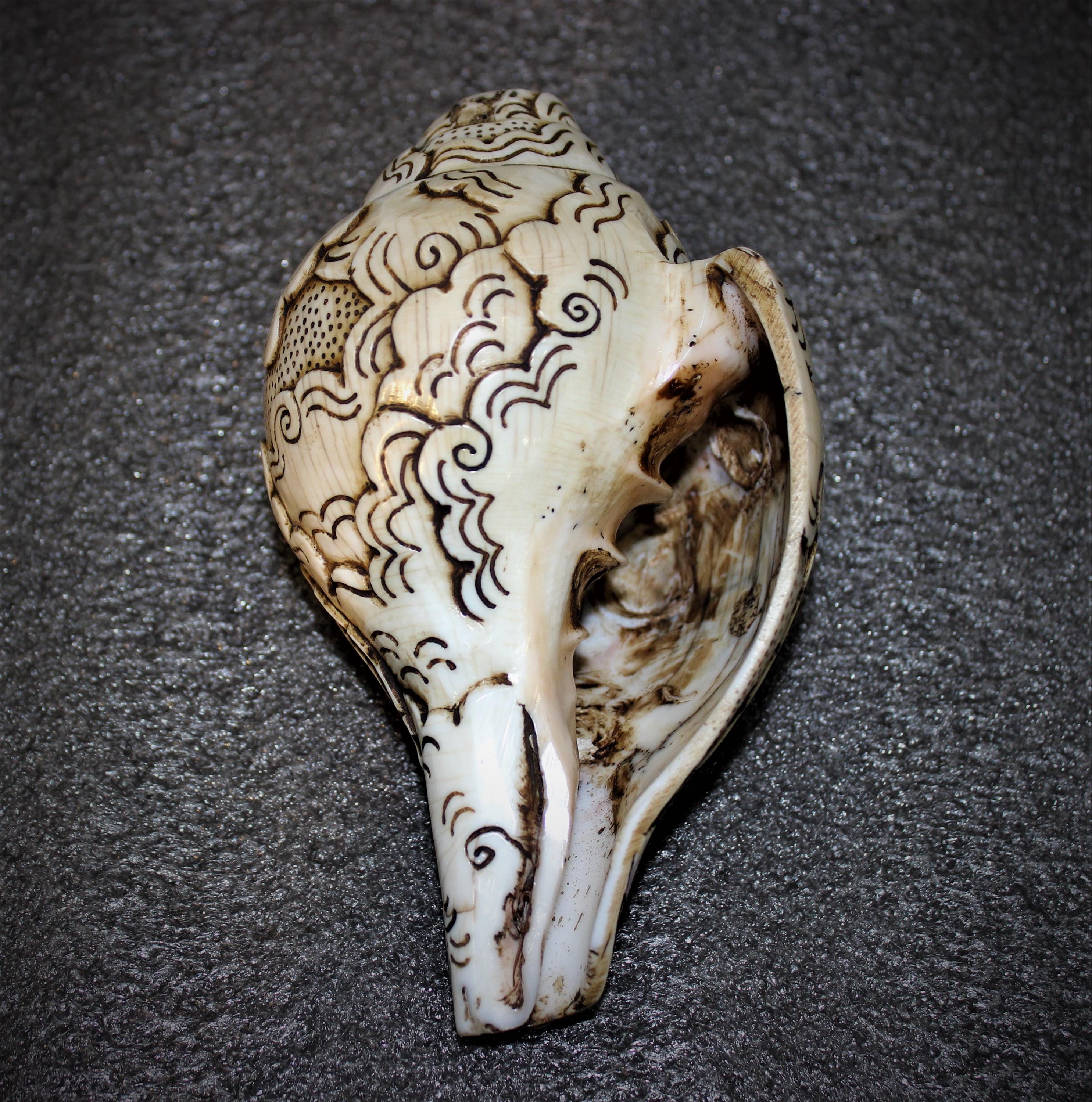 Antique Tibetan Asta Mangal Carved Left Conch Shell Trumpet Instrument ...