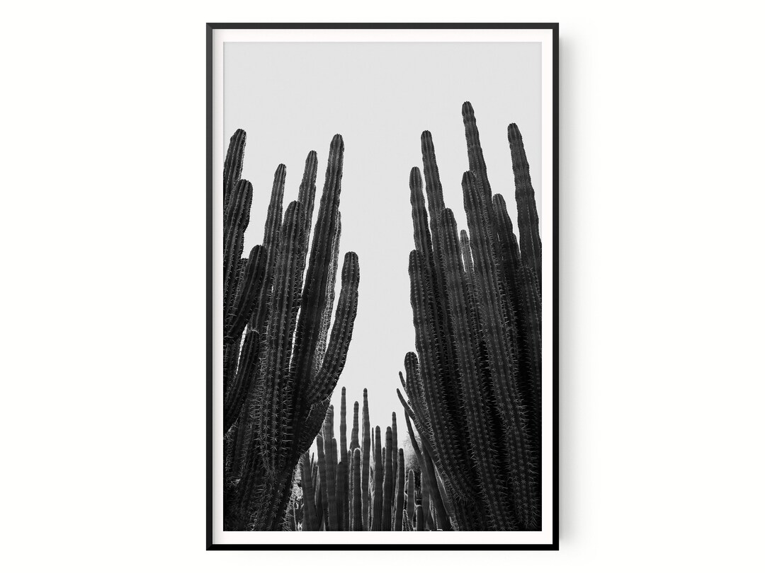 Black & White Organ Pipe Cactus Photo Print Digital Download Etsy