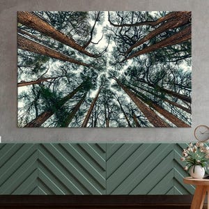 Toile d'art mural pour auvent de la forêt : pins abstraits, décoration naturelle (prête à accrocher)