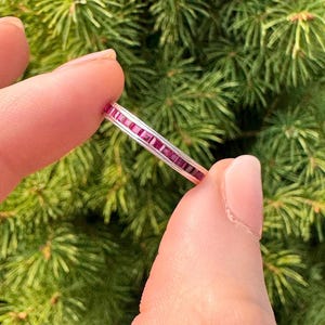 Puede incluir: Un delicado anillo con una fila de pequeñas piedras preciosas rectangulares de color rojo intenso engastadas en una fina banda plateada. El anillo se sostiene sobre un fondo de follaje verde, resaltando el color vibrante de las piedras.