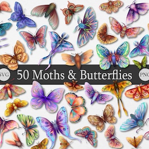 50 Magic Moths & Butterflies PNG Clipart – Mystical Insects Bundle, Lunar Butterfly Designs, Transparent Files