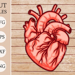 Coeur 3D Shadow Box SVG, fichiers en couches pour la Saint-Valentin pour Cricut, dv cartonné SVG, coeur mandala, découpé au laser