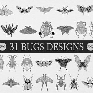 Fantasy Insects SVG Bundle: Beetle, Bugs Line Art (Digital Files)