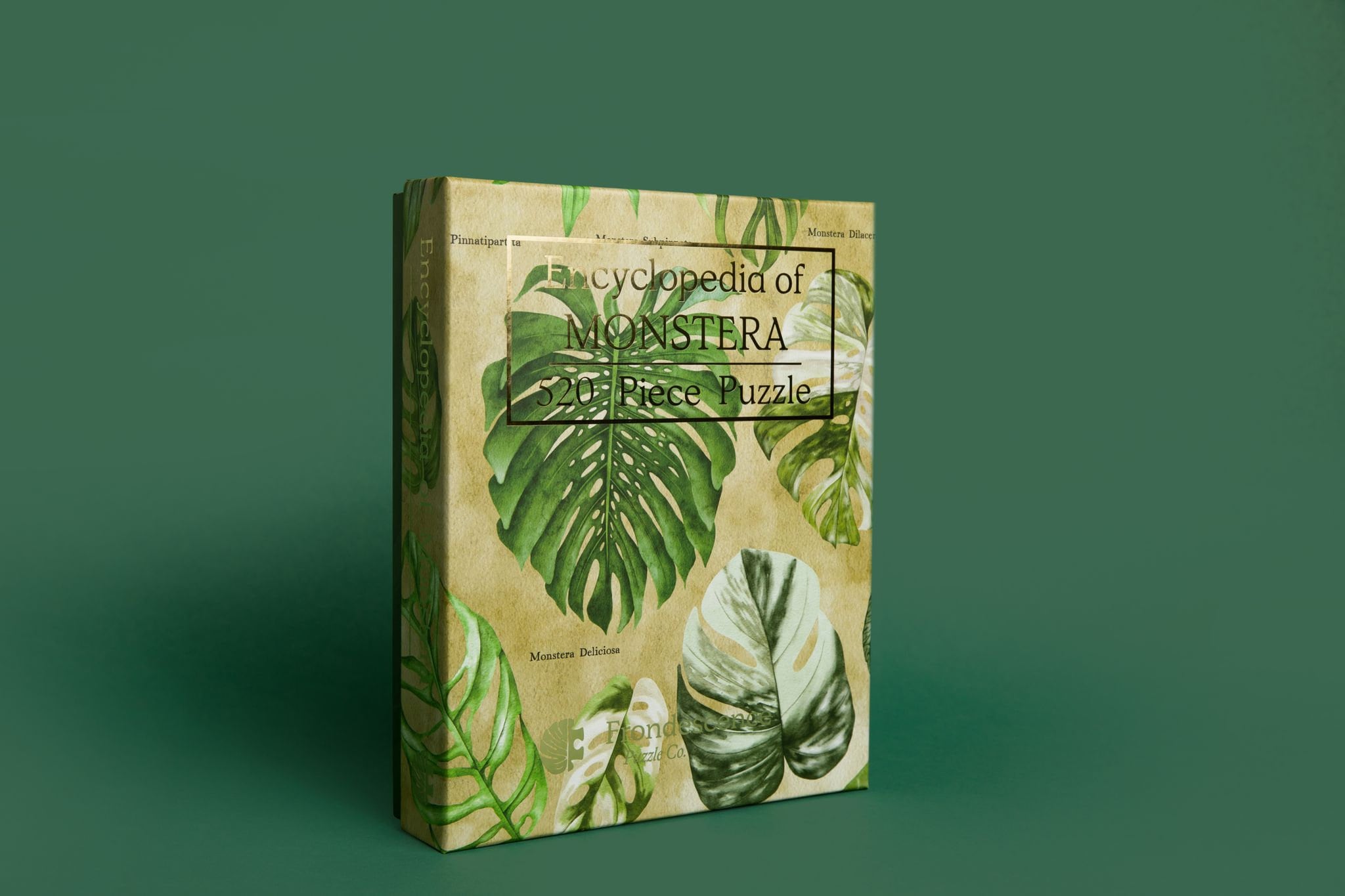 Monstera Plant Puzzle | 520 Piece Jigsaw - Etsy