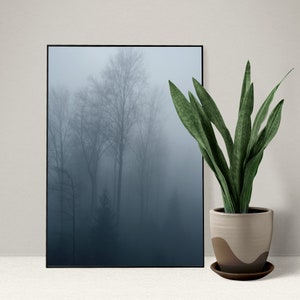 Cartel de bosque, cartel de niebla del bosque, cartel de fotografía, cartel de niebla, cartel de invierno, cartel de abetos, cartel de montaña, impresión de arte Giclée