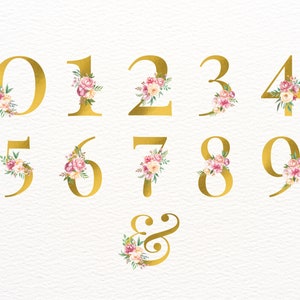 Pu&ograve; includere: Numeri dorati da 0 a 9 e una e commerciale con decorazioni floreali. I numeri e la e commerciale sono contornati d'oro e hanno fiori rosa e bianchi con foglie verdi.