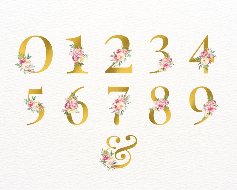 Pu&ograve; includere: Numeri dorati da 0 a 9 e una e commerciale con decorazioni floreali. I numeri e la e commerciale sono contornati d'oro e hanno fiori rosa e bianchi con foglie verdi.