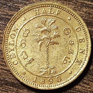 1890 British Ceylon 1/2 Cent Coin: Queen Victoria, Palm Tree