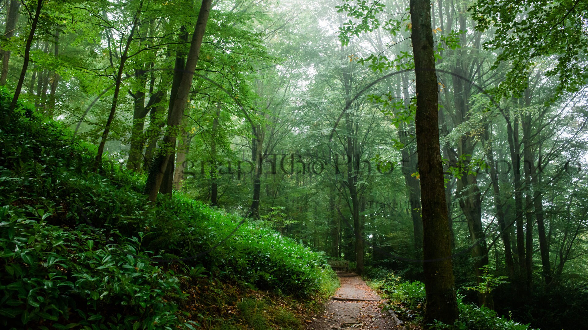 Zoom Background Zoom Backdrop Virtual Background England UK Travel