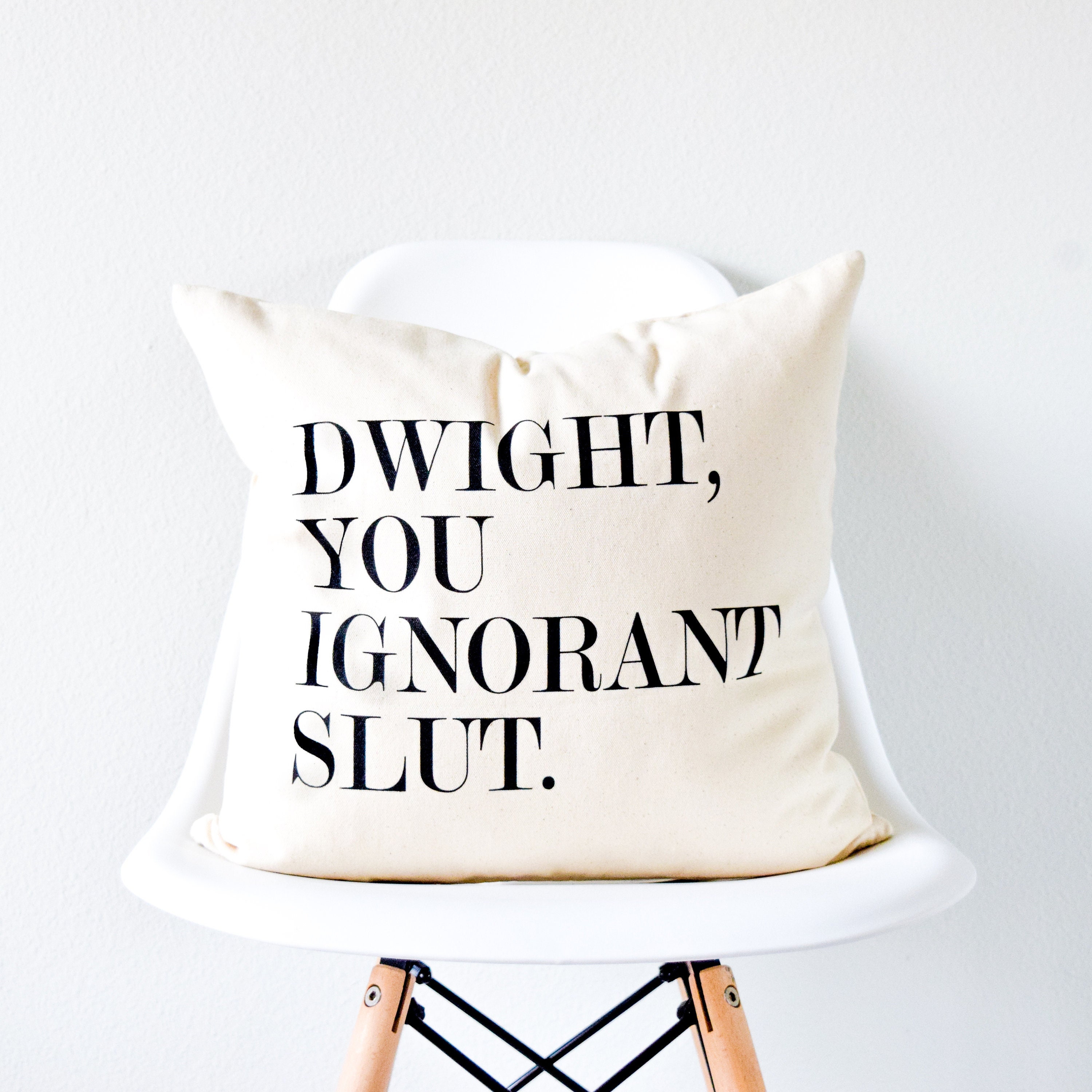 dwight you ignorant pillow