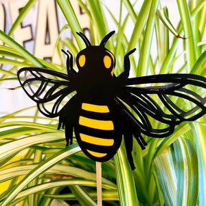 May include: A black and yellow paper bee cutout with wings, attached to a wooden stick, is placed in a potted plant with green and white striped leaves.