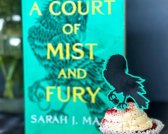 May include: A red velvet cupcake with white frosting and a black bird-shaped topper. The cupcake is in front of a book with a teal cover and the title "A Court of Mist and Fury" by Sarah J. Maas.