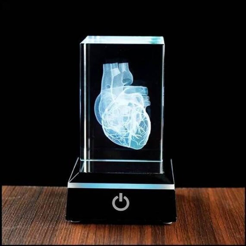 Buy 3D Huan Heart Anatoical Odel - Crystal 3D Huan Heart With