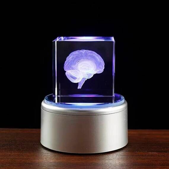 Crystal 3D Human Anatomical Brain Model, Laser Etched Brain Glass Cube ...