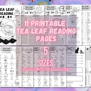 Tea Leaf Reading Set For Beginners, Basics Of Fortune Telling Kit, Grimoire Pages, Book Of Shadows Pages, Witchy Tea Cup Guide image 1