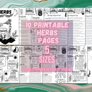 Herbal Magick For Beginners, Basics Of Herbs, Herb Meanings Uses Grimoire Sheets, Book Of Shadows Pages, Green Witch Guide