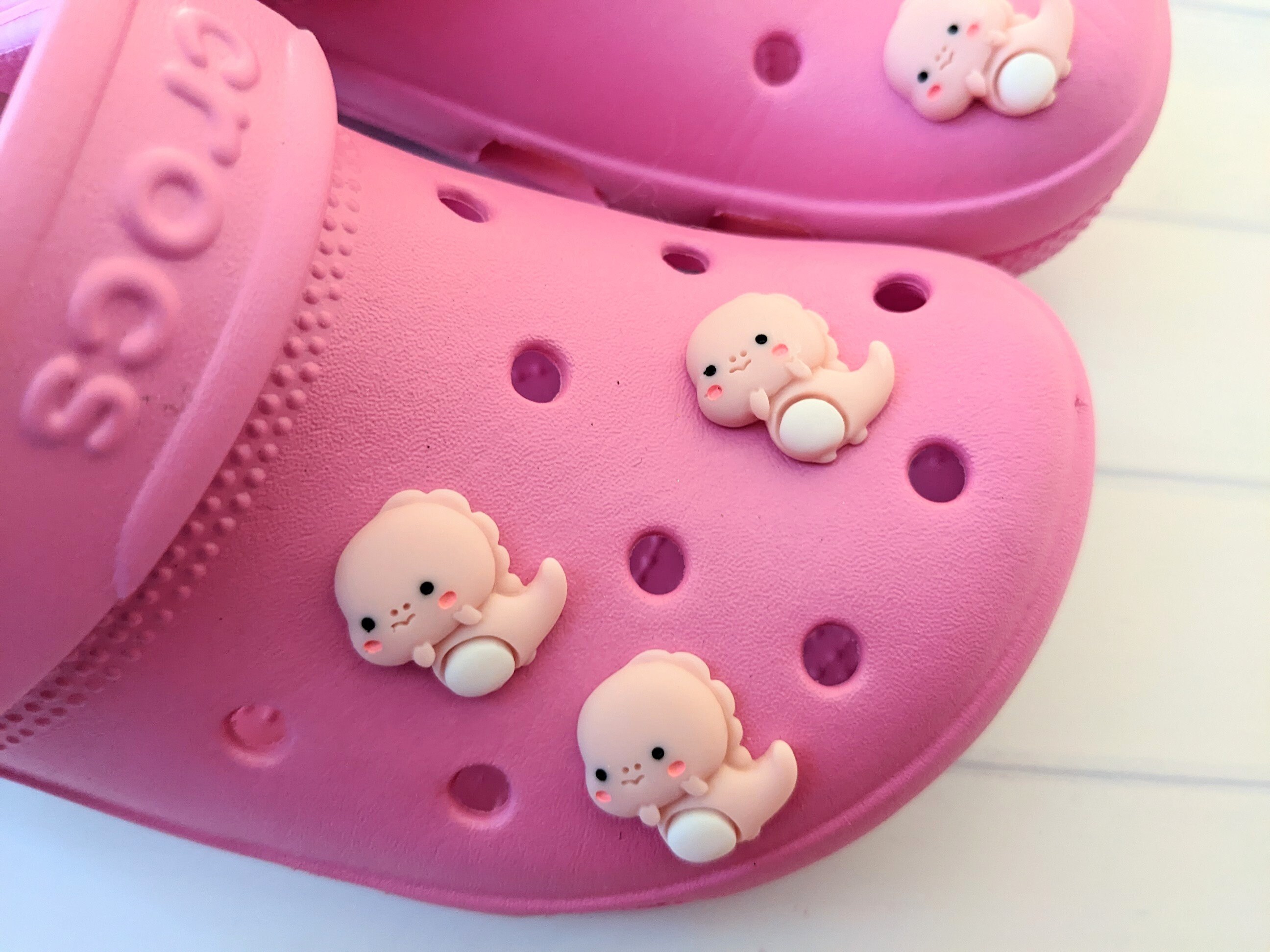 crocs jibbitz chanel