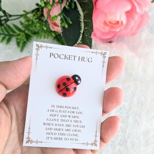 May include: A small red ladybug with black spots is attached to a white card with the text "Pocket Hug" and a message about a hug in your pocket.