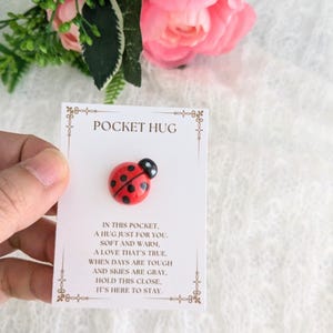 Op de afbeelding: Een klein rood lieveheersbeestje met zwarte stippen is bevestigd aan een witte kaart met de tekst "Pocket Hug" en een boodschap over een knuffel in je zak.