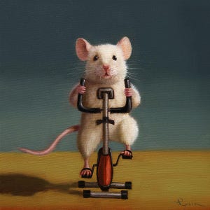 Gym Rat Spin by Lucia Heffernan, Animal Art, Whimsical Animal Wall Decor, Gift for Animal Lover,