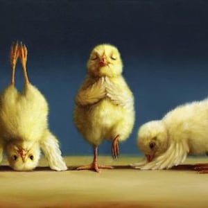 Yoga Chicks By Lucia Heffernan, Art Print, Yoga Fitness Room Decor, Animal Wall Decor, Cute Animal Poster,
