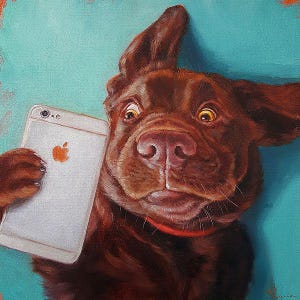 Dos Selfie by Lucia Heffernan, Labrador Art, Whimsical Animal Wall Decor, Gift for Dog Lover, Cartoon Art