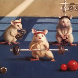 Gym Rats by Lucia Heffernan, Rat Art, Whimsical Animal Art, Cartoon Art, Rat Lovers Art, Humorous Art