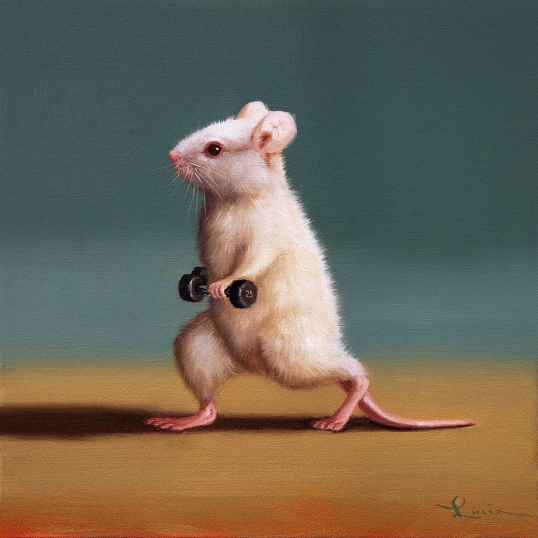 Gym Rat Dumbell Lunge by Lucia Heffernan, Rat Art, Whimsical