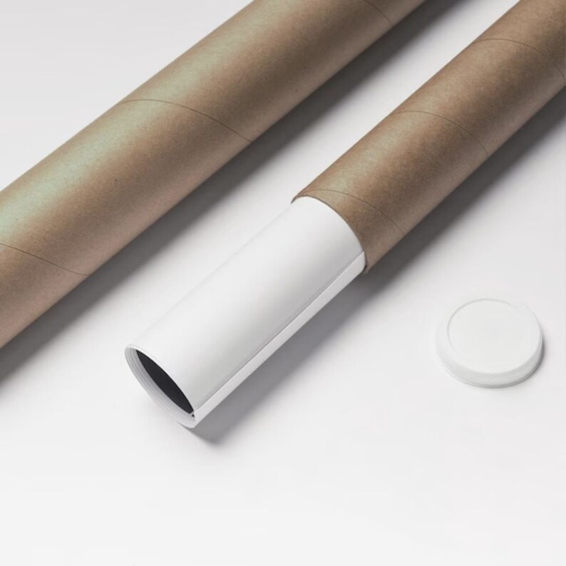 May include: A white poster rolled up inside a brown cardboard tube with a white plastic end cap.